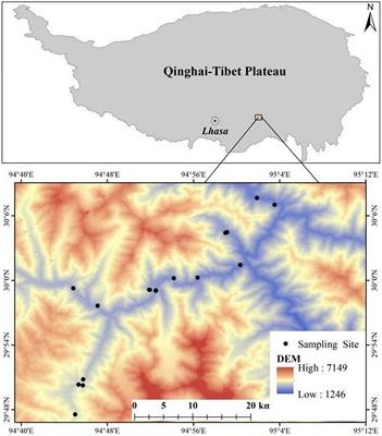 Vertical distribution differences of the understory herbs and their driving factors on shady and sunny slopes in high altitude mountainous areas